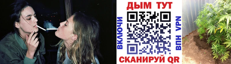 Продажа наркотиков Верхняя Тура Гашиш  Альфа ПВП  Меф мяу мяу  Кокаин 